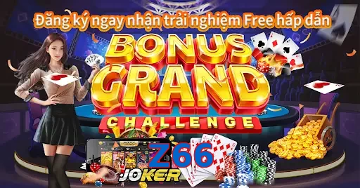 Z66