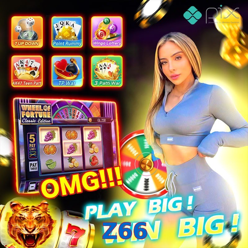 Z66