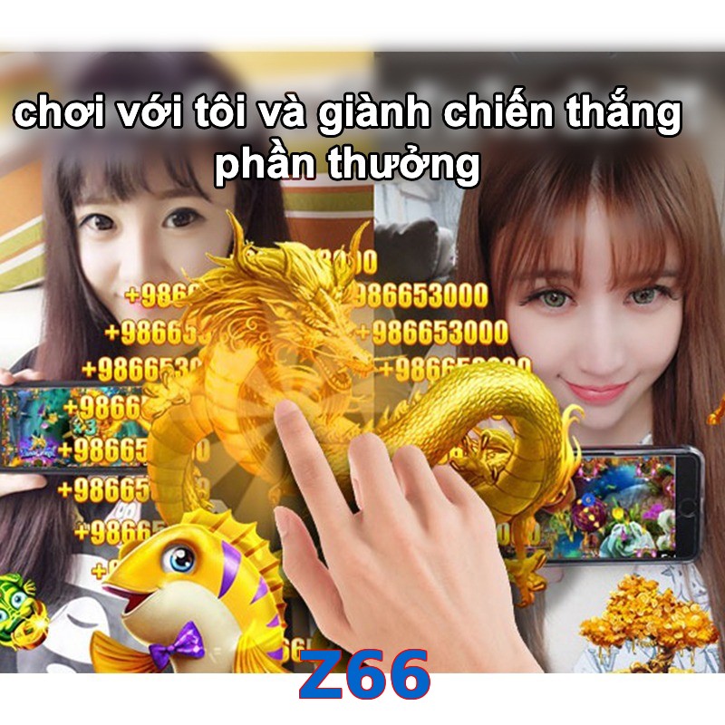 Z66